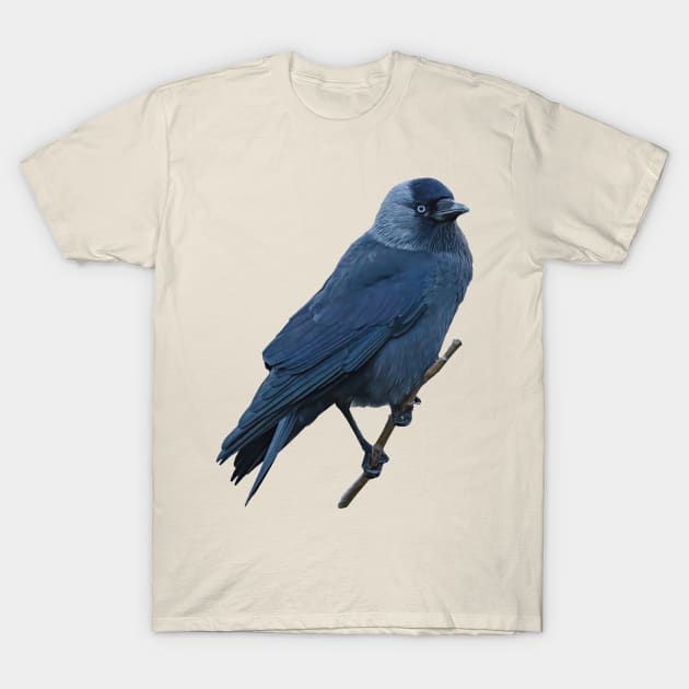 Jackdaw T-Shirt by dalyndigaital2@gmail.com